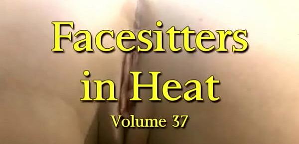  Facesitters In Heat Vol 37